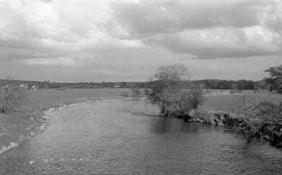 1985_493.jpg