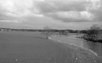1985_494.jpg