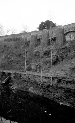 1985_495.jpg