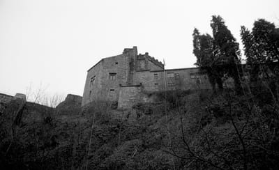 1985_496.jpg