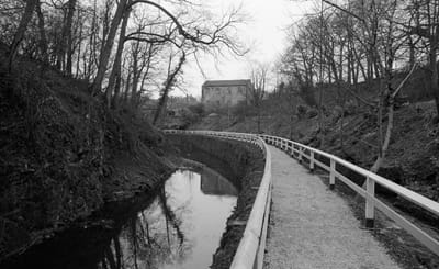 1985_497.jpg