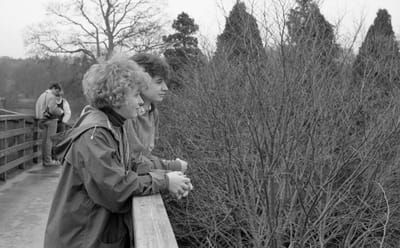 1985_499.jpg
