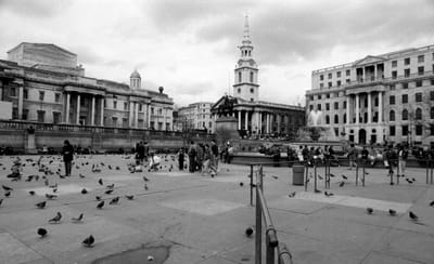 1985_595.jpg