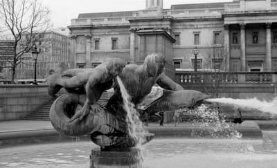 1985_597.jpg