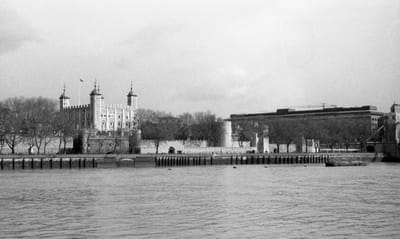 1985_608.jpg