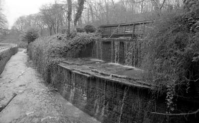 1985_609.jpg