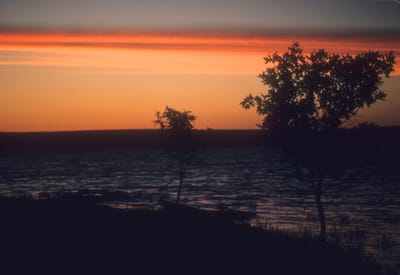 107.jpg