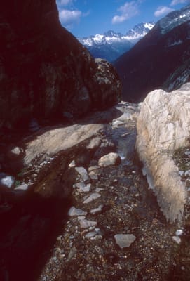 155.jpg