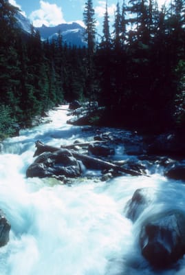 158.jpg