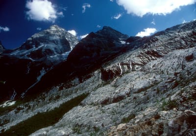 161.jpg