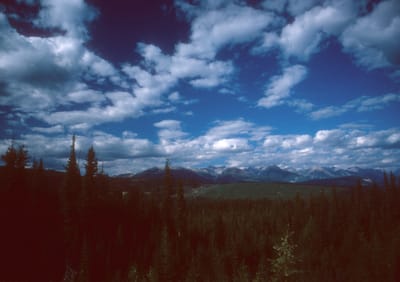164.jpg