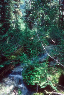 166.jpg