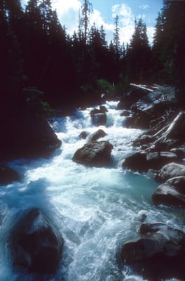 167.jpg