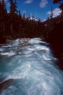 168.jpg