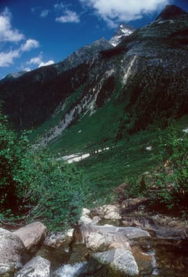 172.jpg