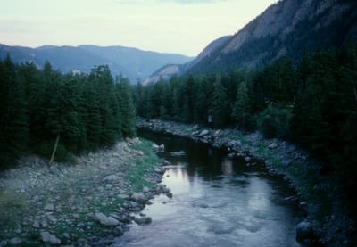 175.jpg