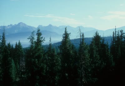 180.jpg