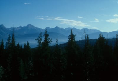 181.jpg