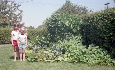 c1985_386.jpg
