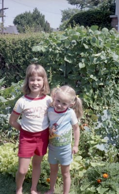 c1985_393.jpg
