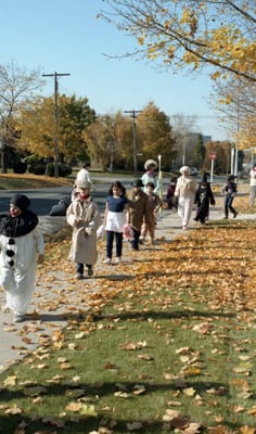 c1985_369.jpg