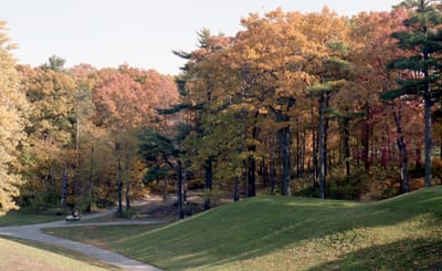 c1985_365.jpg