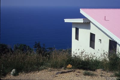 6041.jpg