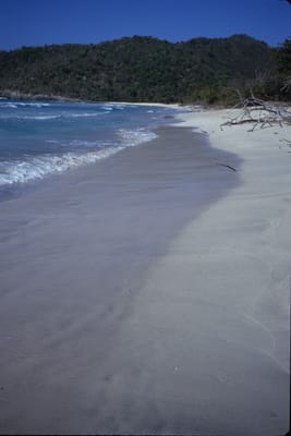 6045.jpg