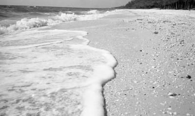 Florida 6.jpg