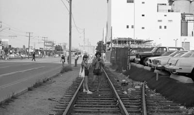 Summer_1985_716.jpg