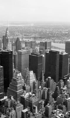 1993_332.jpg