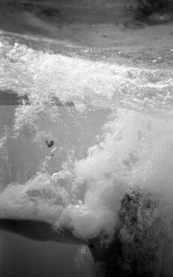 c1988_514.jpg