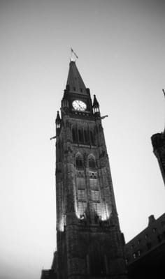 1988_729.jpg