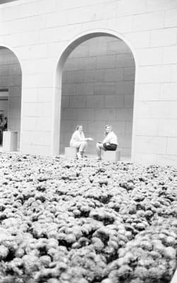 1988_793.jpg