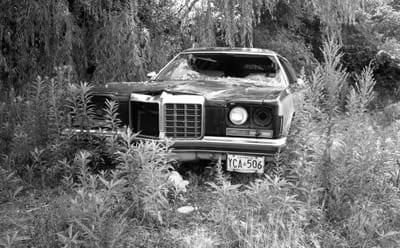 1988_876.jpg