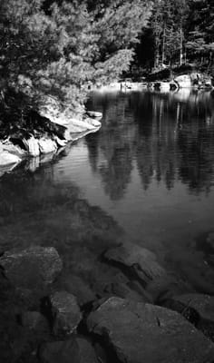 1988_953.jpg