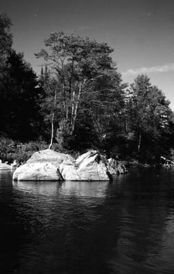 1988_955.jpg