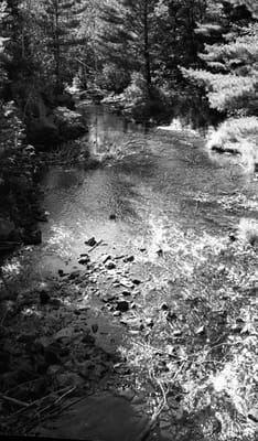 1988_963.jpg