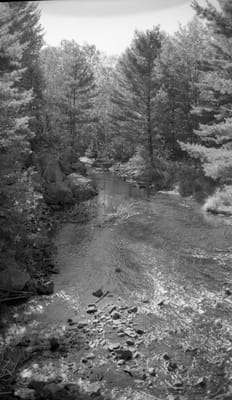 1988_967.jpg