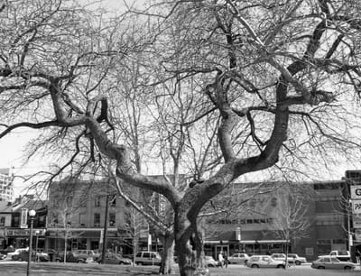 c1988_193_2.jpg