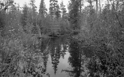 c1986_936.jpg