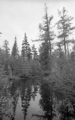 c1986_937.jpg