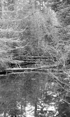 c1986_940.jpg