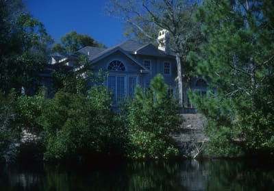 289.jpg