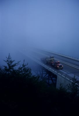 271.jpg