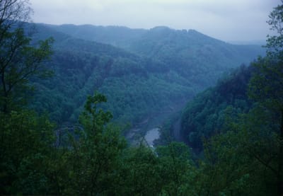 276.jpg