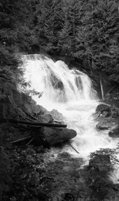 1991_138.jpg