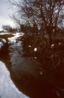 115.jpg