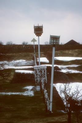 116.jpg
