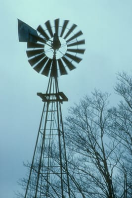 122.jpg